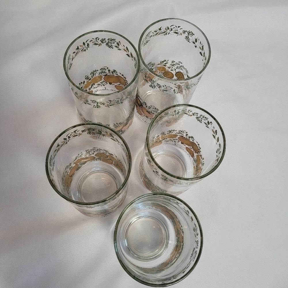 Vintage Libbey Bonne Sante Spice of Life 12oz Glasses Set of 5 - Picture 5 of 9